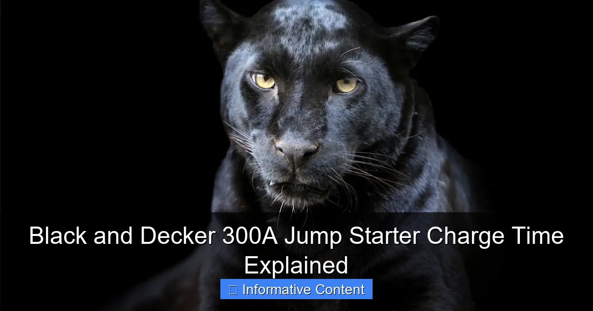 Black and Decker 300A Jump Starter Charge Time Explained
