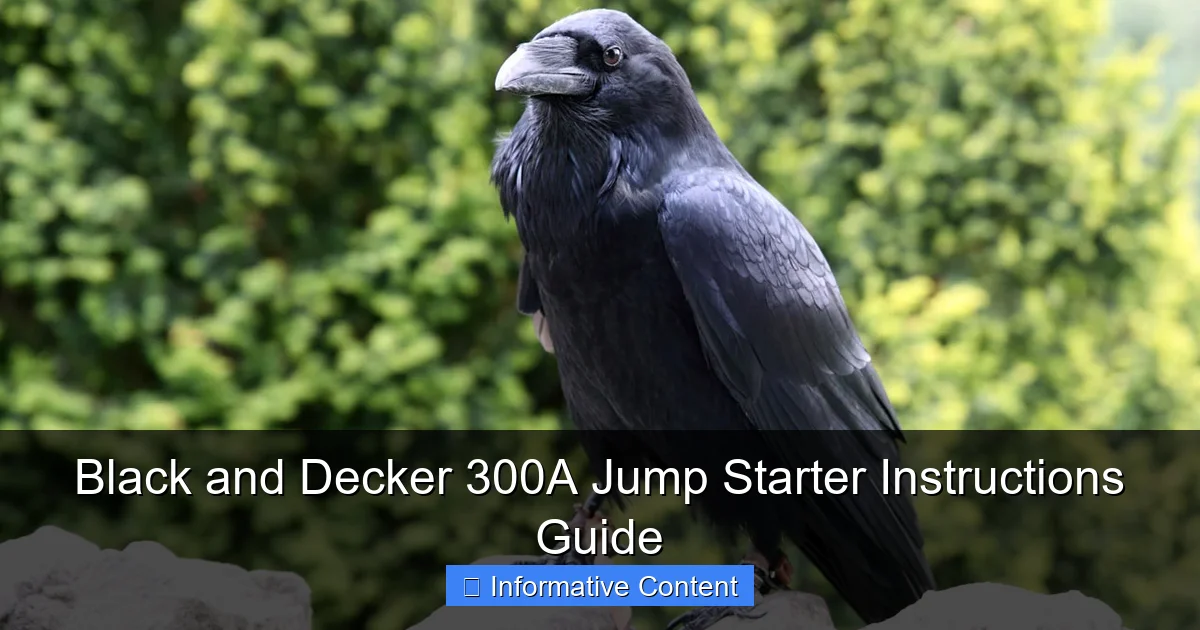 Black and Decker 300A Jump Starter Instructions Guide