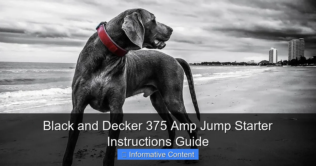 Black and Decker 375 Amp Jump Starter Instructions Guide