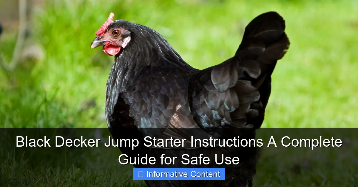 Black Decker Jump Starter Instructions A Complete Guide for Safe Use