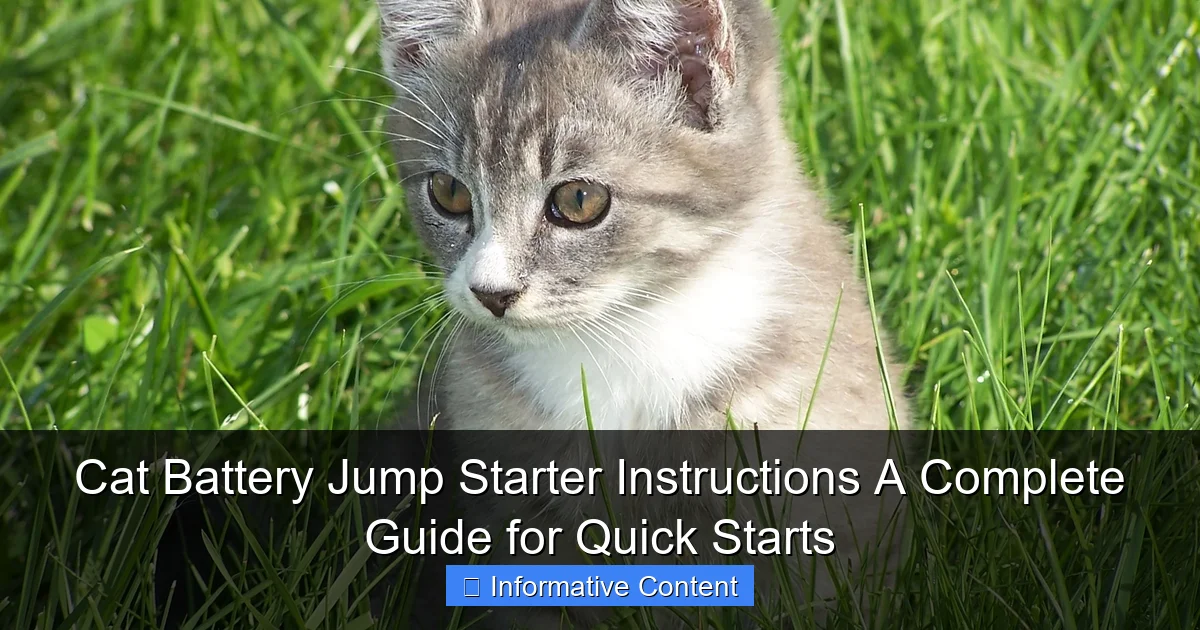 Cat Battery Jump Starter Instructions A Complete Guide for Quick Starts