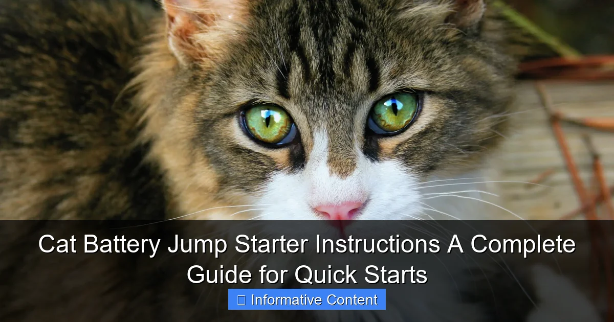 Cat Battery Jump Starter Instructions A Complete Guide for Quick Starts