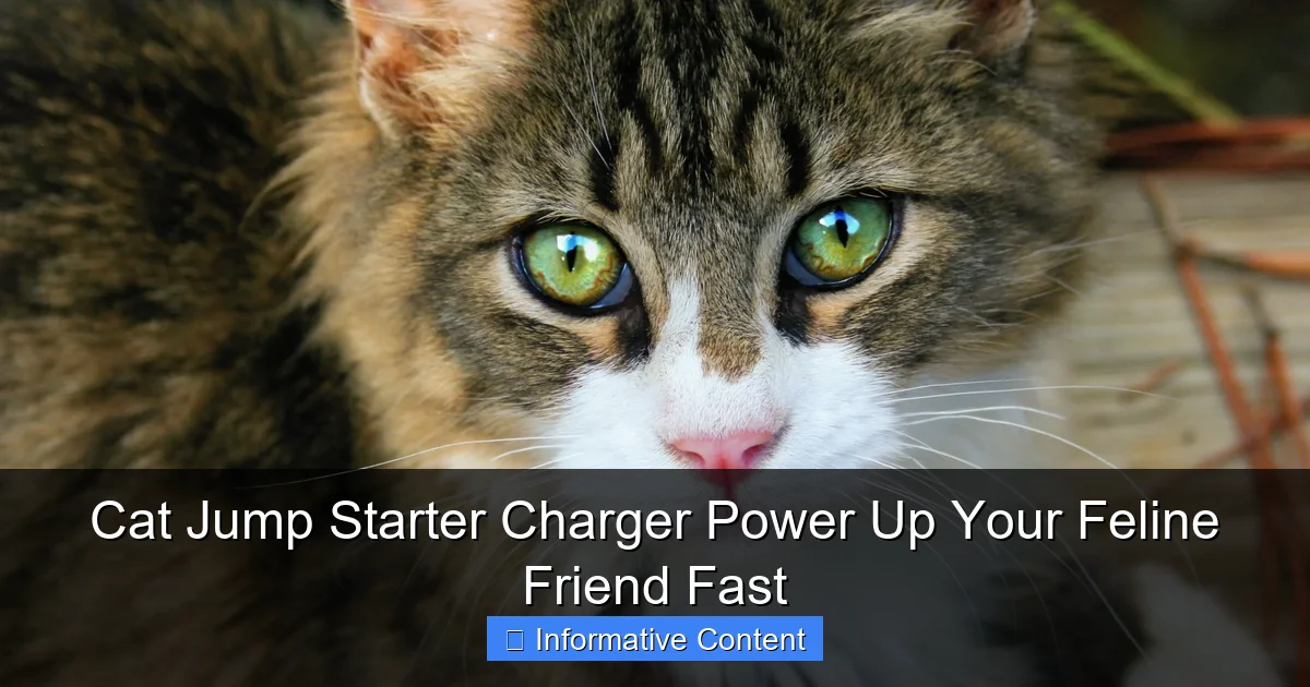 Cat Jump Starter Charger Power Up Your Feline Friend Fast