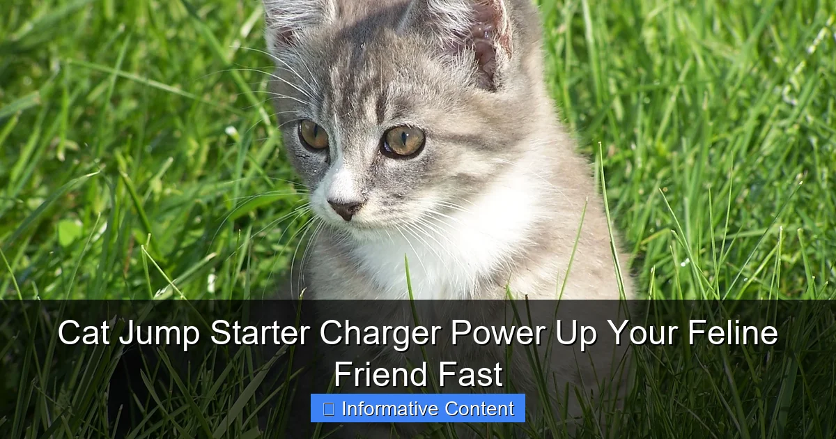 Cat Jump Starter Charger Power Up Your Feline Friend Fast