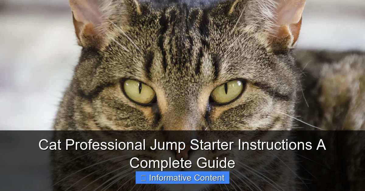Cat Professional Jump Starter Instructions A Complete Guide