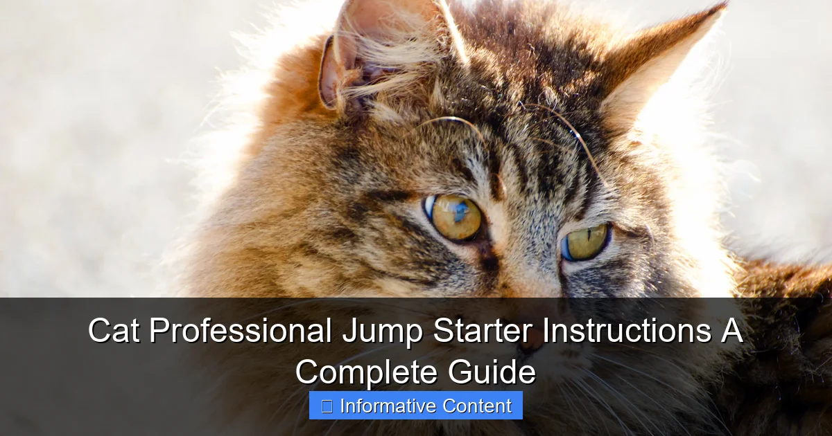 Cat Professional Jump Starter Instructions A Complete Guide