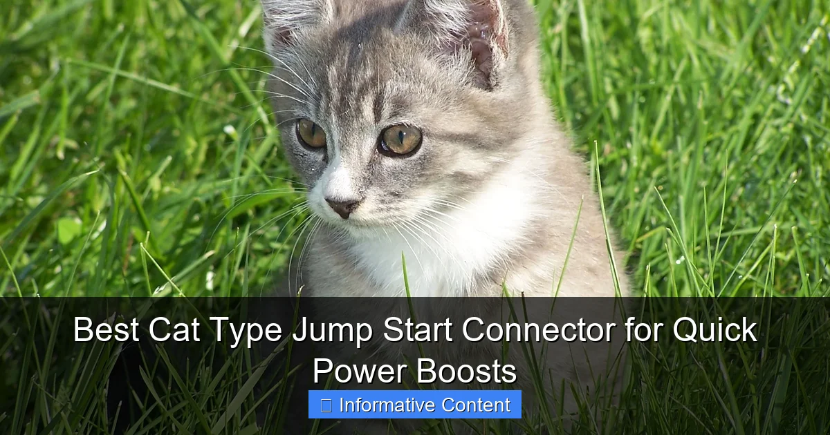 Best Cat Type Jump Start Connector for Quick Power Boosts
