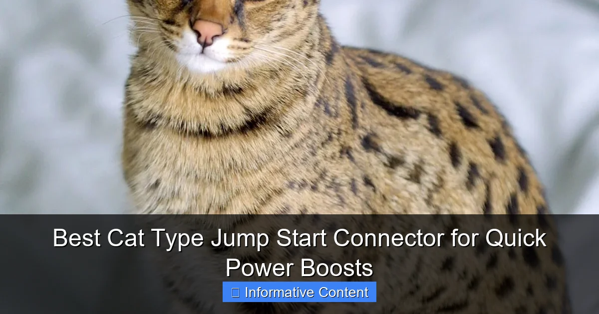 Best Cat Type Jump Start Connector for Quick Power Boosts