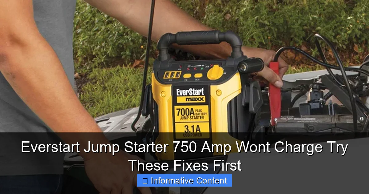 Everstart Jump Starter 750 Amp Wont Charge Try These Fixes First