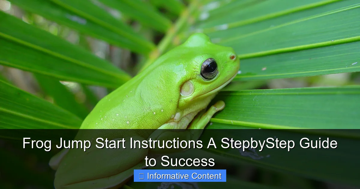 Frog Jump Start Instructions A StepbyStep Guide to Success