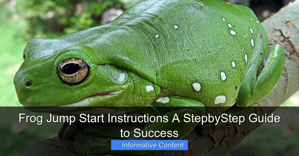 Frog Jump Start Instructions A StepbyStep Guide to Success