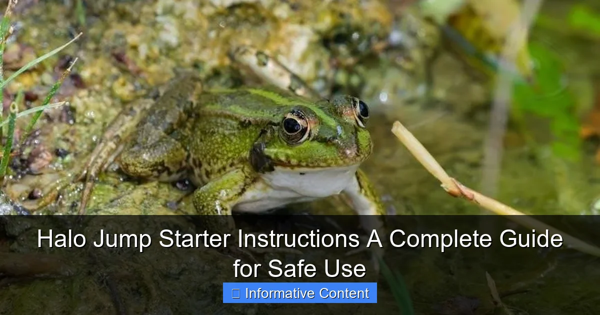 Halo Jump Starter Instructions A Complete Guide for Safe Use