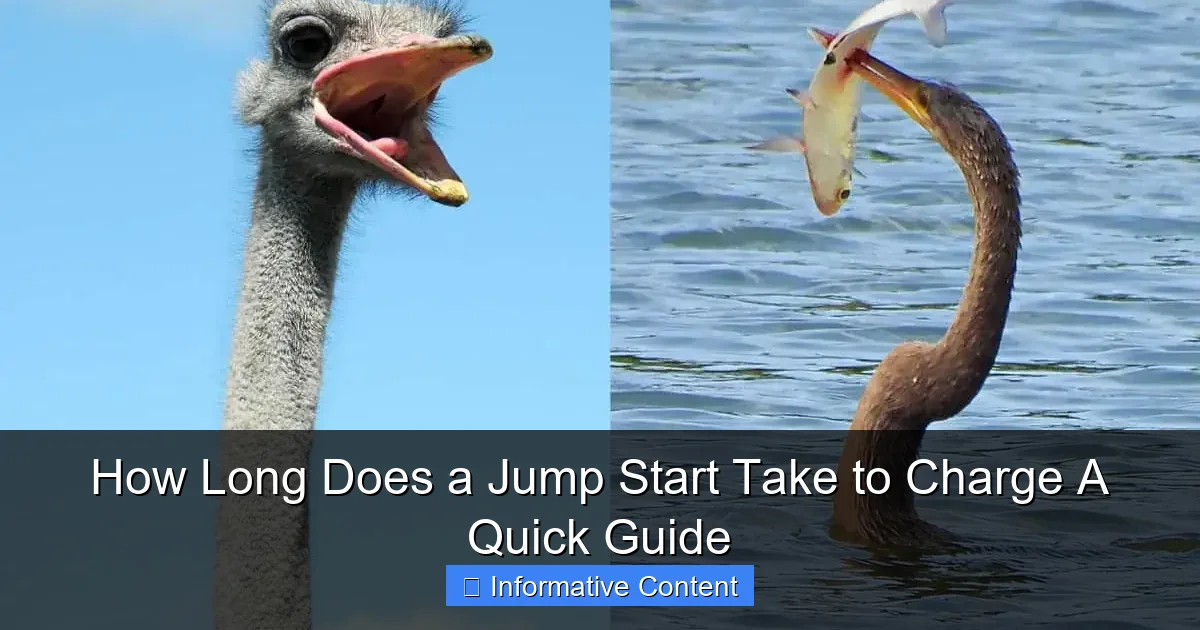 How Long Does a Jump Start Take to Charge A Quick Guide