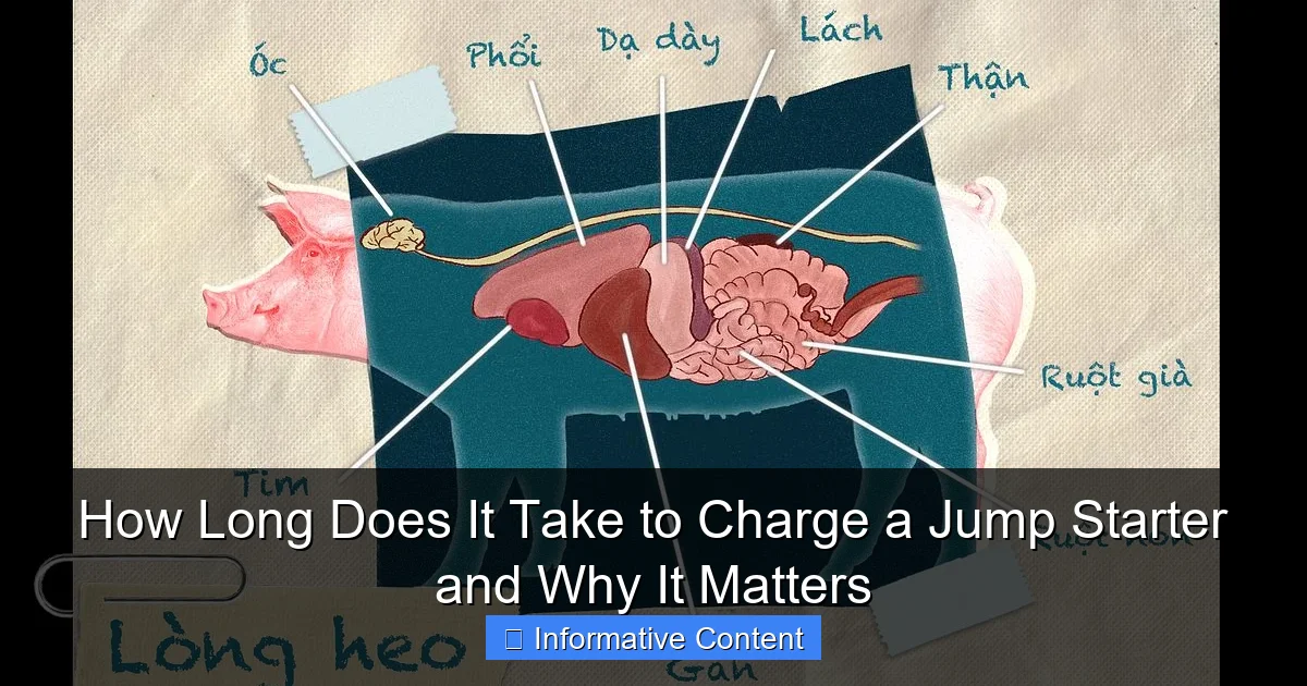 How Long Does It Take to Charge a Jump Starter and Why It Matters