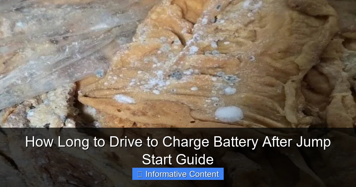 How Long to Drive to Charge Battery After Jump Start Guide