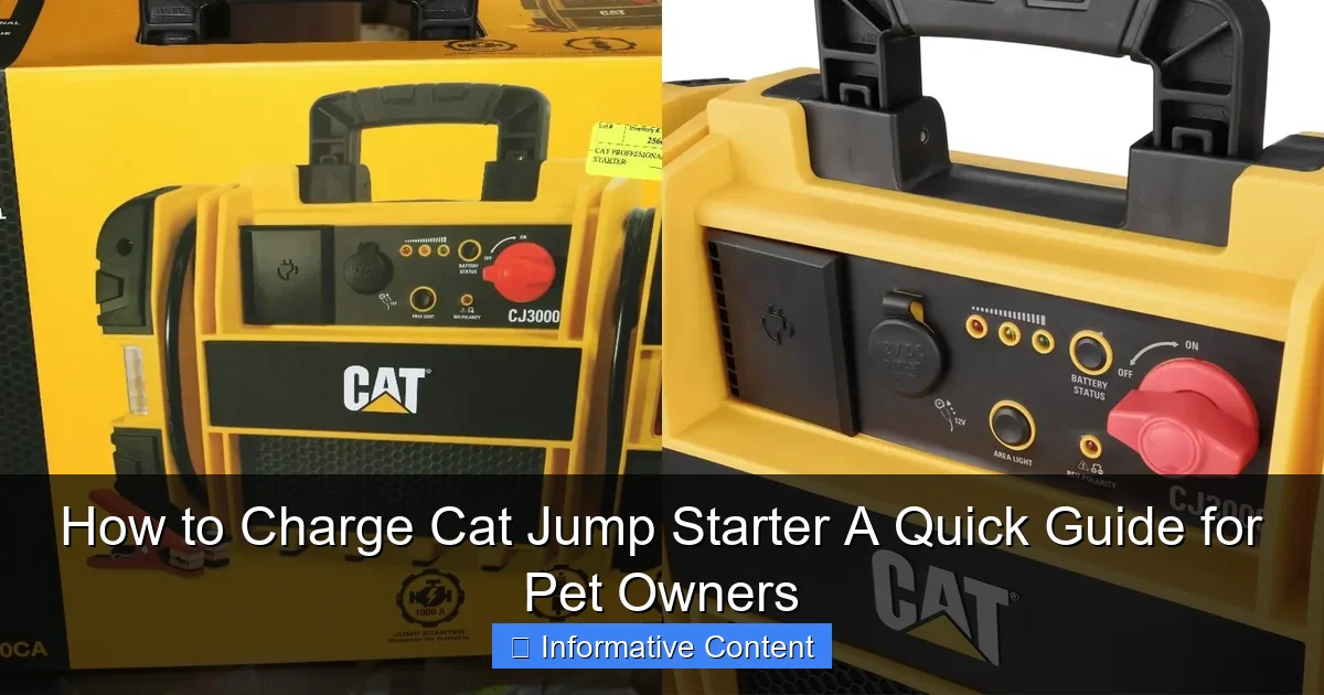 How to Charge Cat Jump Starter A Quick Guide for Pet Owners