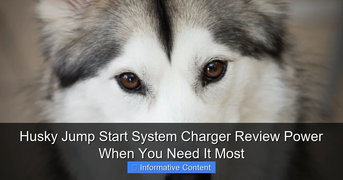 Husky Jump Start System Charger Review Power When You Need It Most