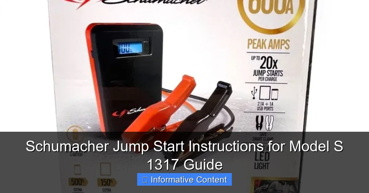 Schumacher Jump Start Instructions for Model S 1317 Guide