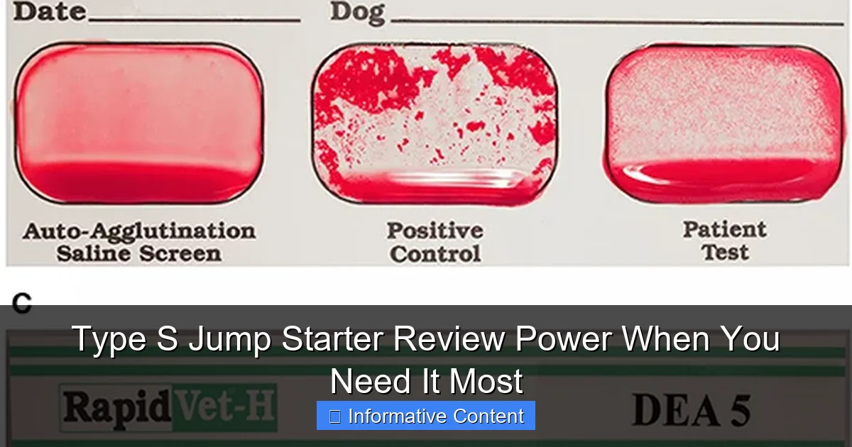 Type S Jump Starter Review Power When You Need It Most