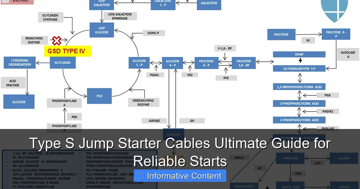 Type S Jump Starter Cables Ultimate Guide for Reliable Starts