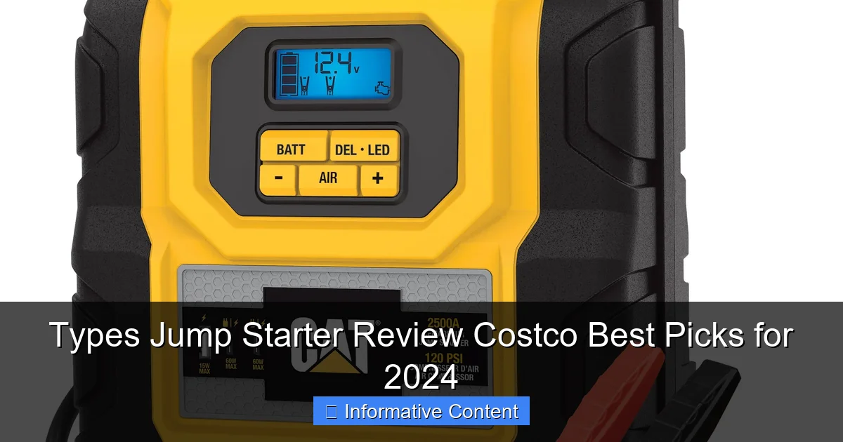 Types Jump Starter Review Costco Best Picks for 2024