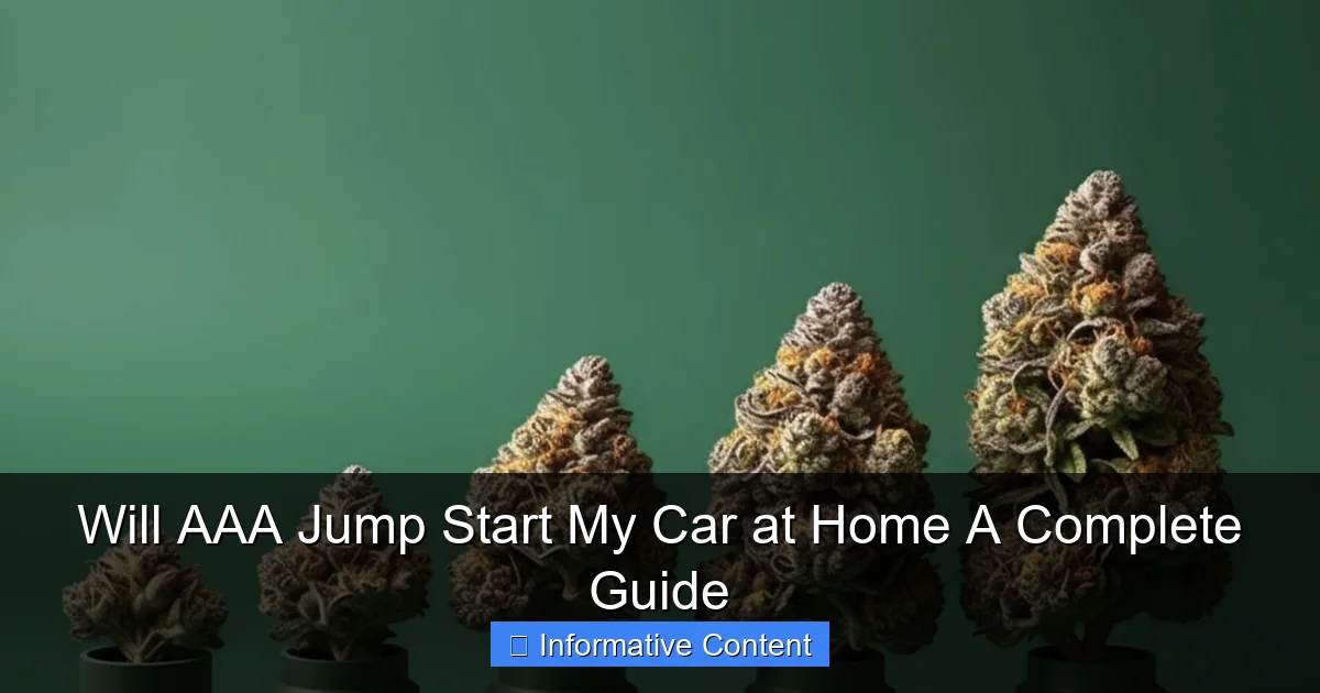 Will AAA Jump Start My Car at Home A Complete Guide
