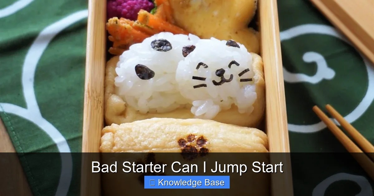 Bad Starter Can I Jump Start