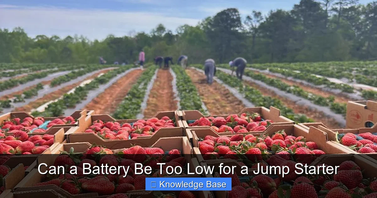 Can a Battery Be Too Low for a Jump Starter