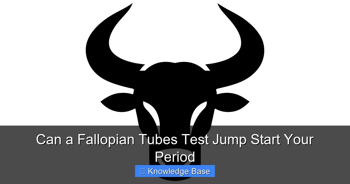 Can a Fallopian Tubes Test Jump Start Your Period