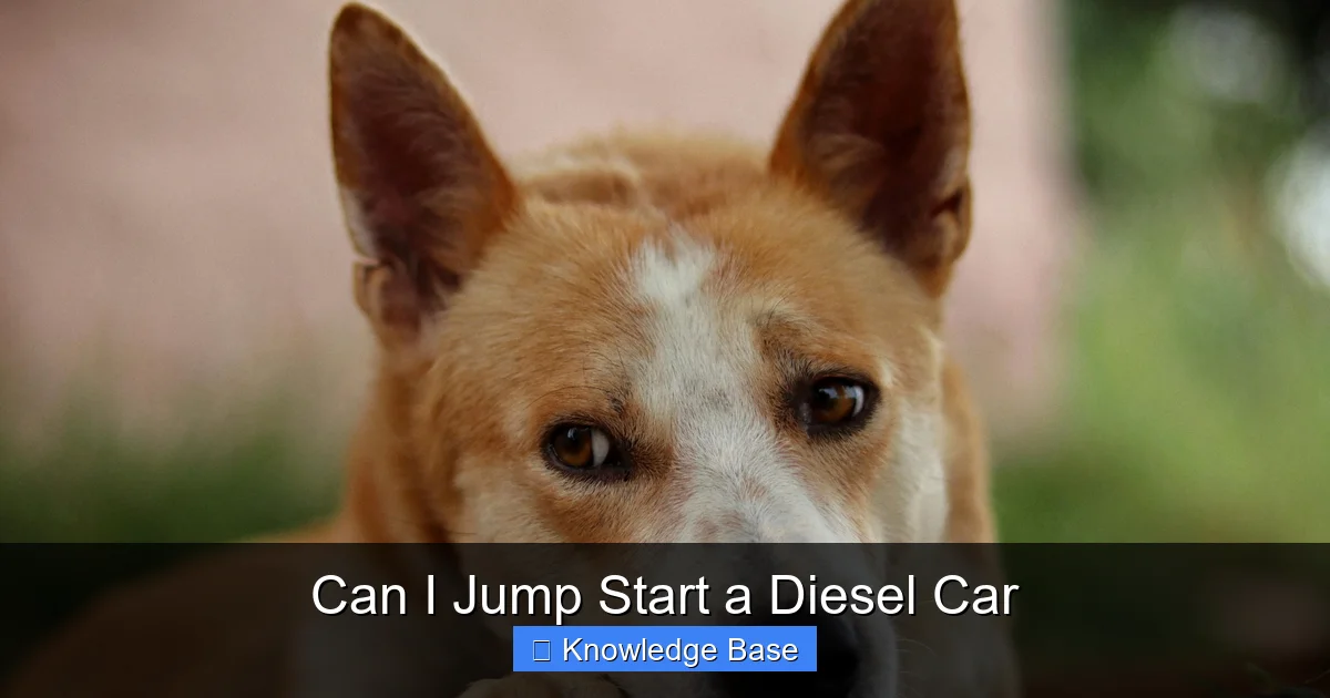 Can I Jump Start a Diesel Car