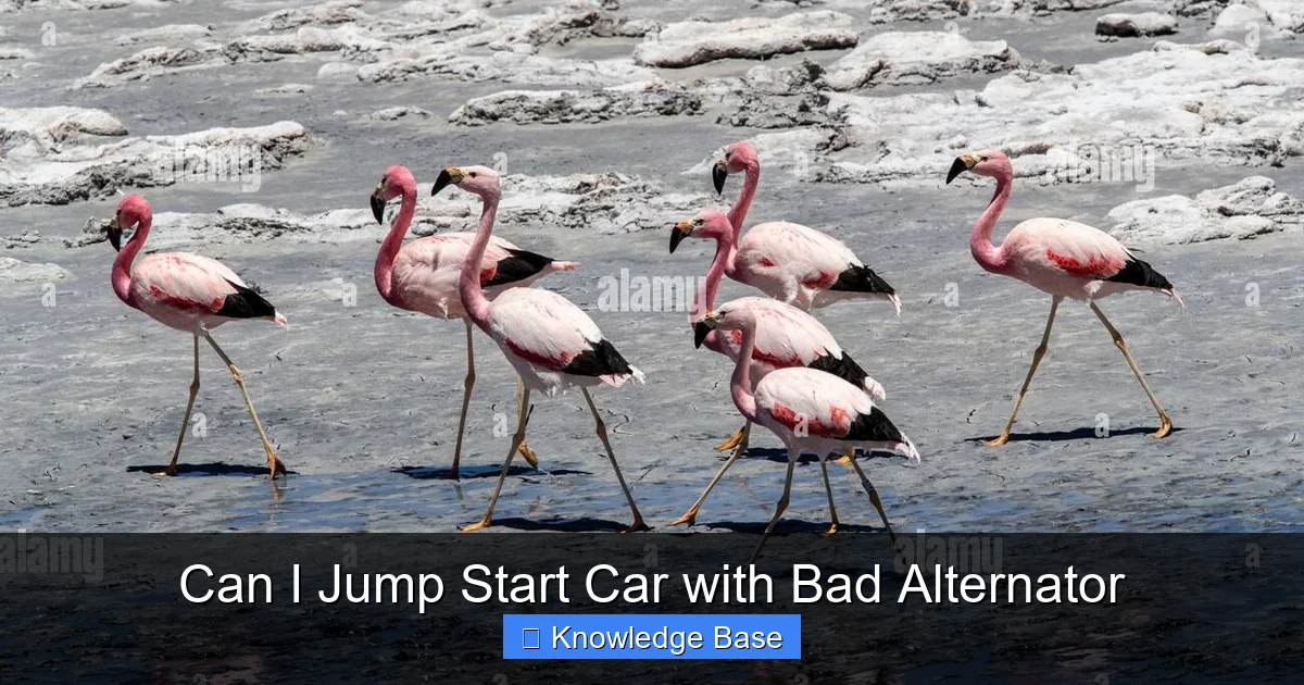 Can I Jump Start Car with Bad Alternator