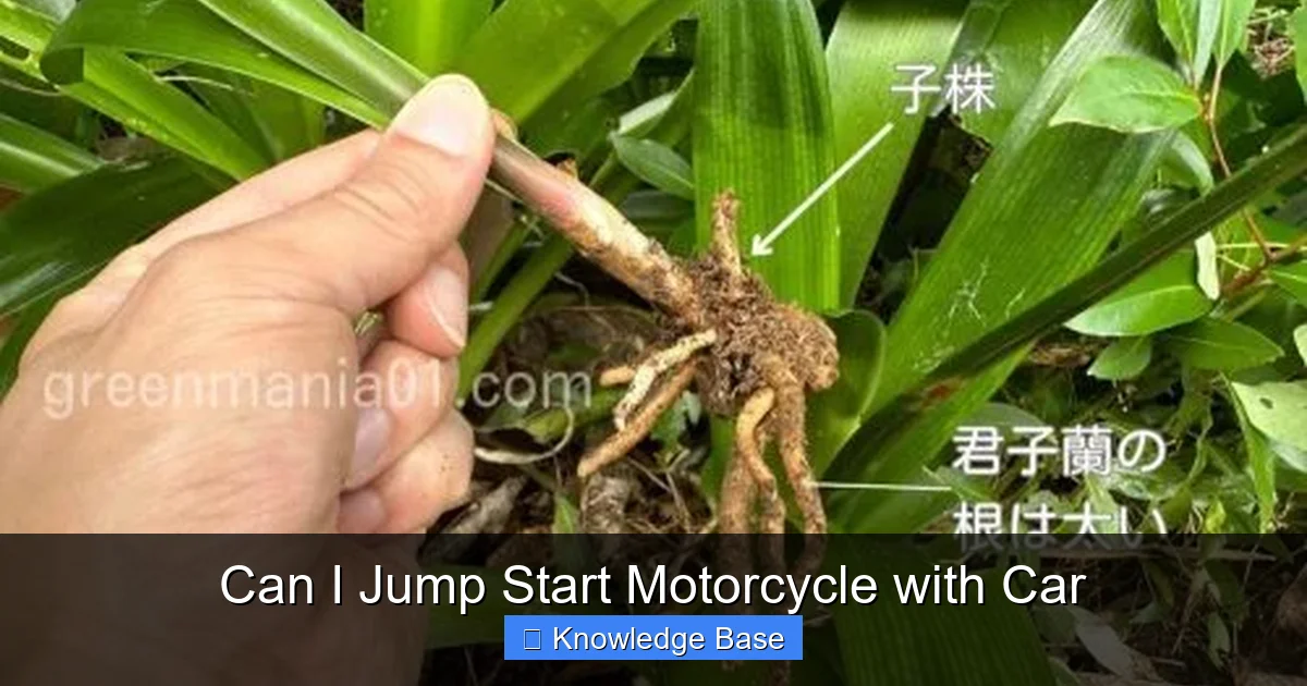Can I Jump Start Motorcycle with Car