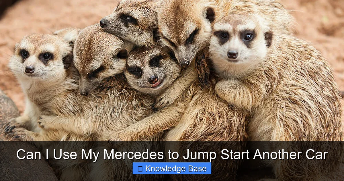 Can I Use My Mercedes to Jump Start Another Car