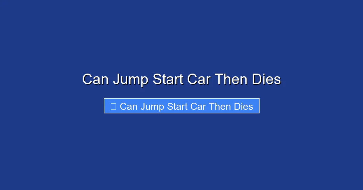 Can Jump Start Car Then Dies
