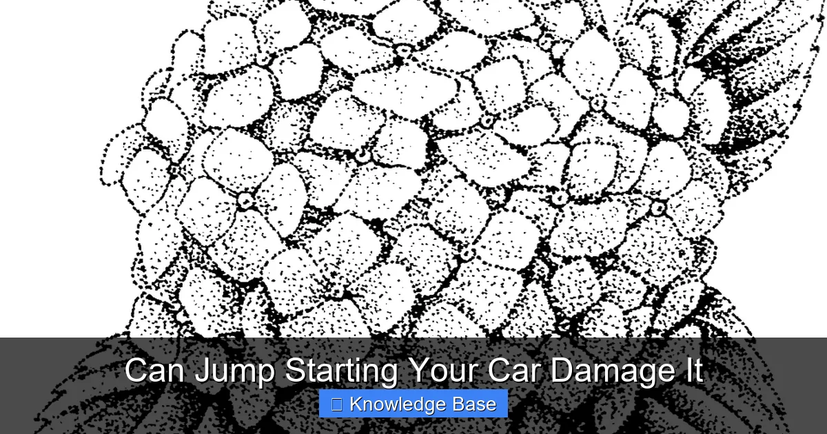 Can Jump Starting Your Car Damage It