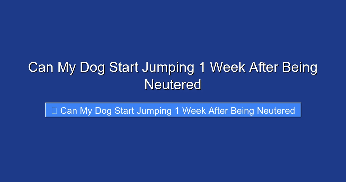 Can My Dog Start Jumping 1 Week After Being Neutered