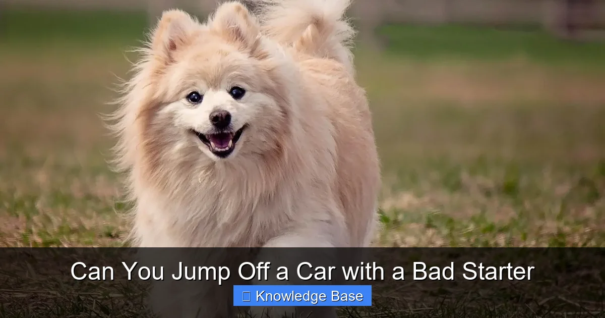Can You Jump Off a Car with a Bad Starter
