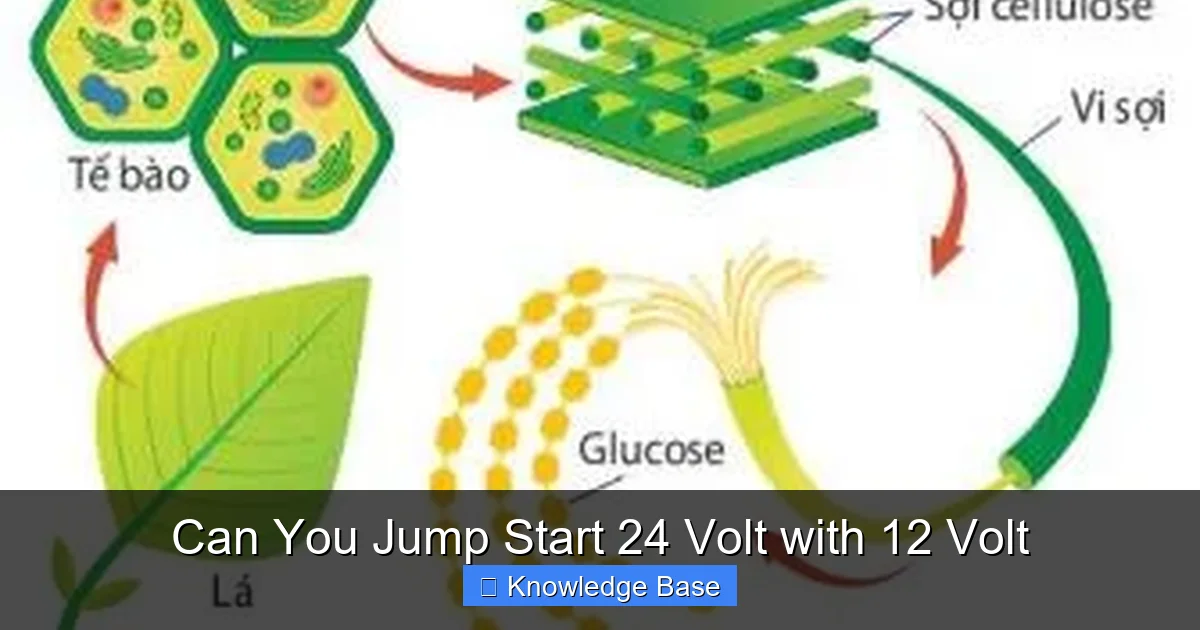 Can You Jump Start 24 Volt with 12 Volt