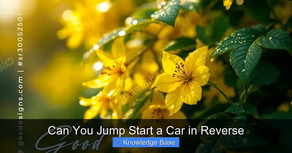 Can You Jump Start a Car in Reverse