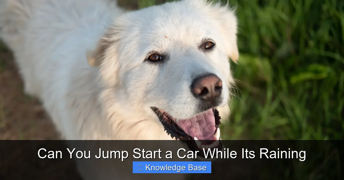 Can You Jump Start a Car While Its Raining