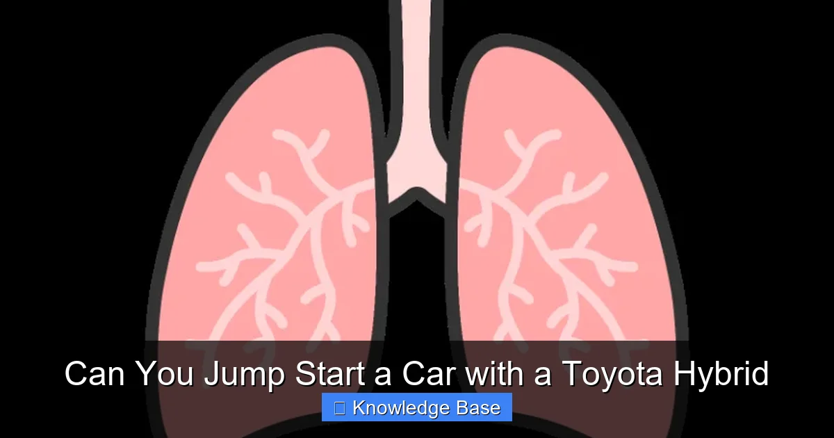 Can You Jump Start a Car with a Toyota Hybrid