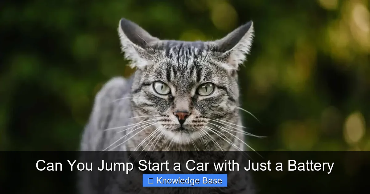 Can You Jump Start a Car with Just a Battery