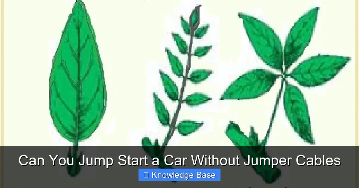 Can You Jump Start a Car Without Jumper Cables