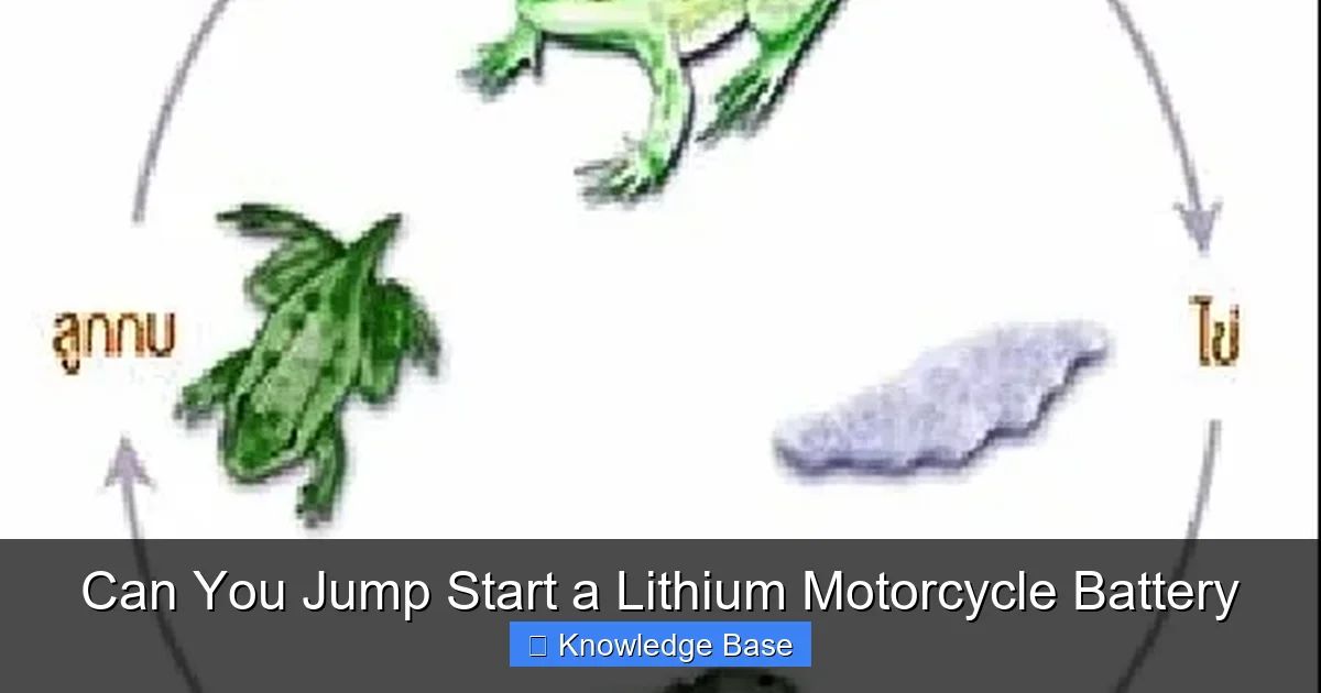 Can You Jump Start a Lithium Motorcycle Battery