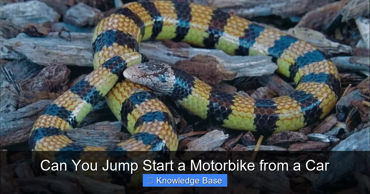 Can You Jump Start a Motorbike from a Car