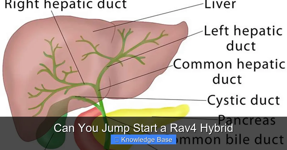 Can You Jump Start a Rav4 Hybrid
