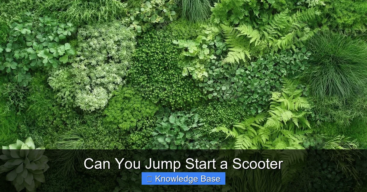 Can You Jump Start a Scooter