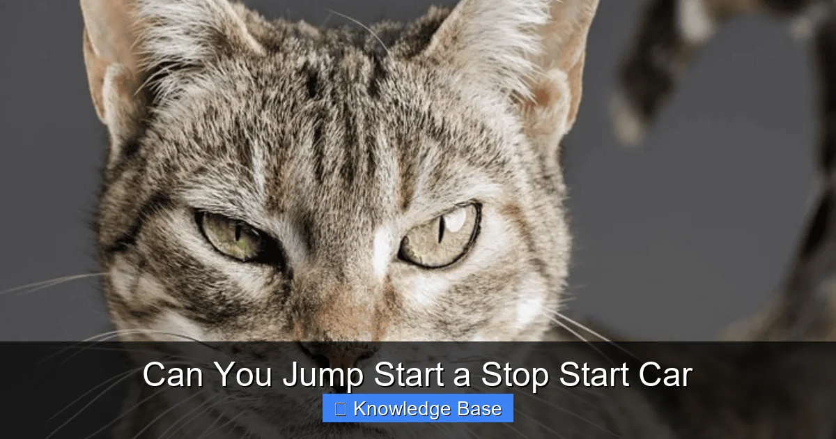Can You Jump Start a Stop Start Car