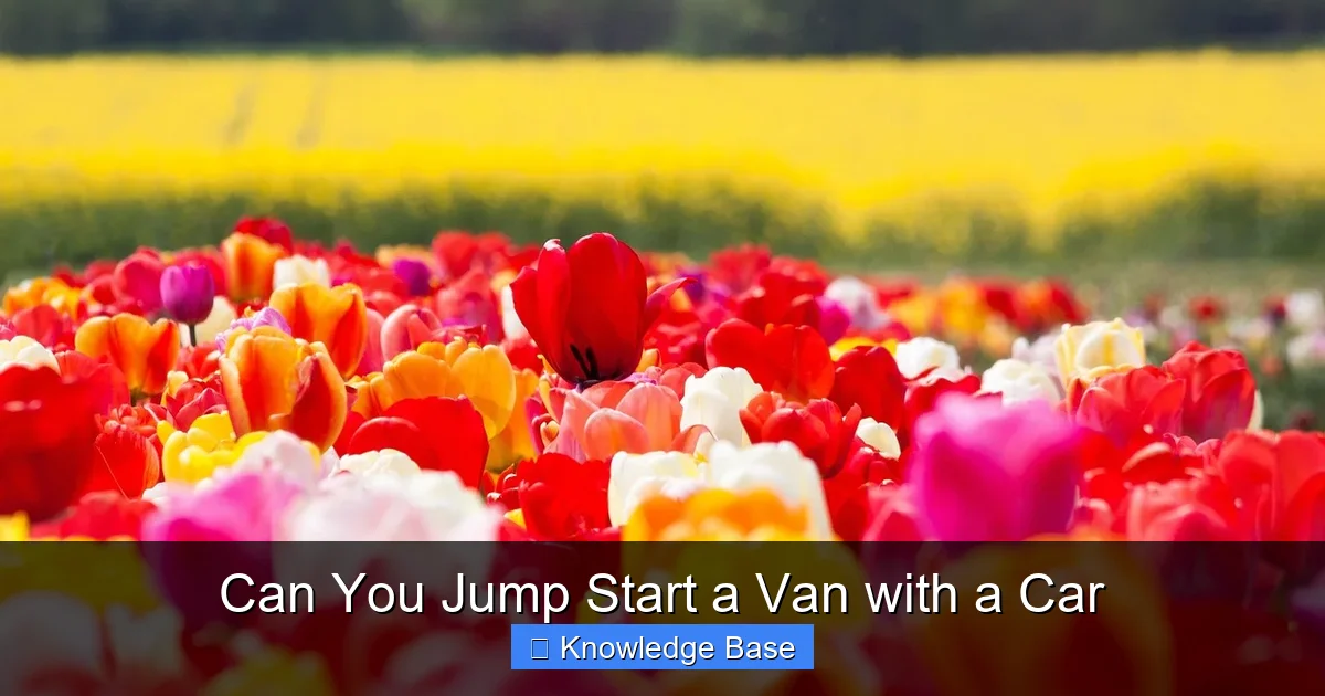 Can You Jump Start a Van with a Car