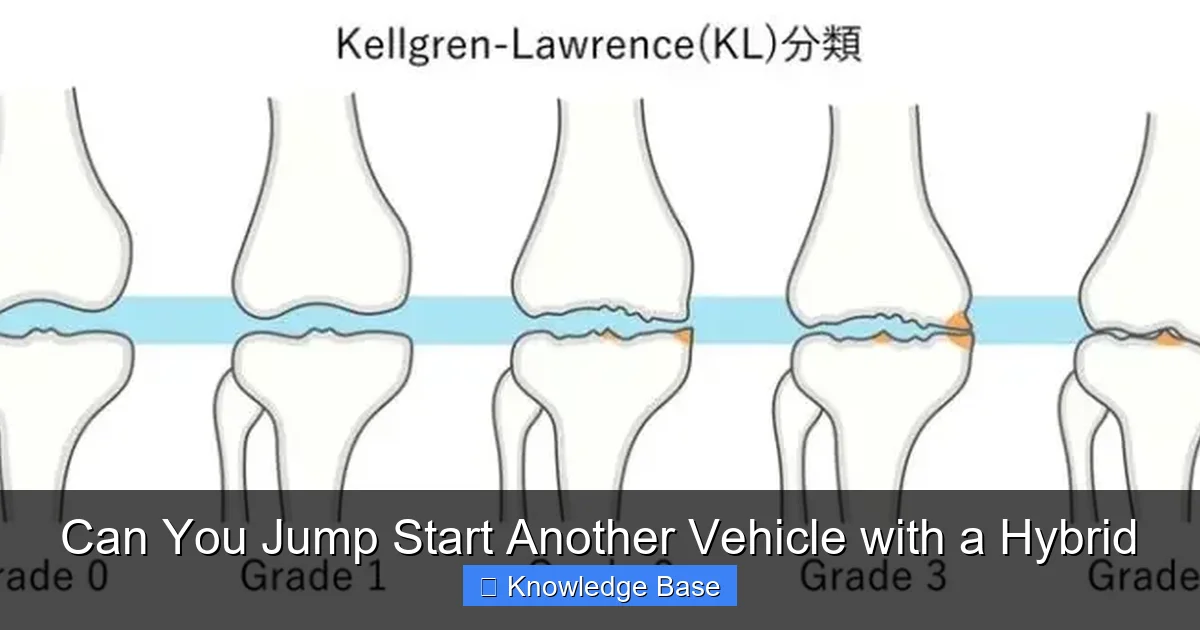 Can You Jump Start Another Vehicle with a Hybrid